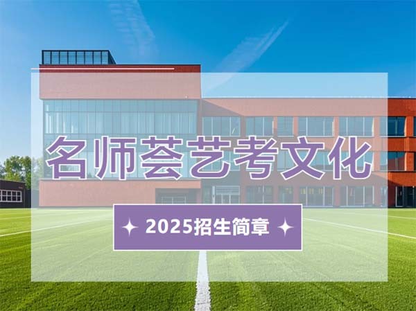 名师荟2025届艺考文化冲刺课程